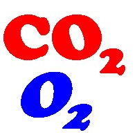 CO2O2.jpg (9724 bytes)